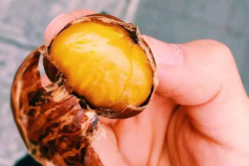 孕妇能吃栗子吗