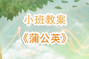 幼儿园小班《蒲公英》教案