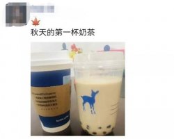 秋天的第一杯奶茶什么梗？