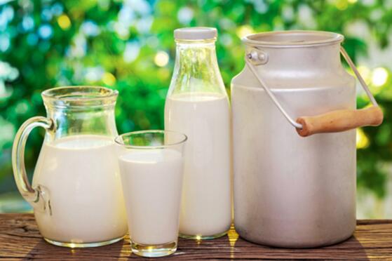 羊奶为什么不能长期喝