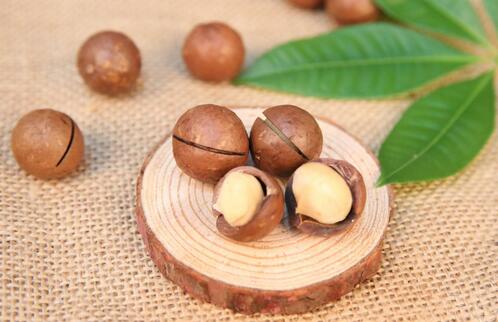 坚果类食品 夏威夷果