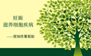 侵蚀性葡萄胎是什么意思