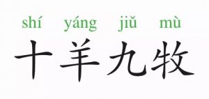 成语故事：十羊九牧