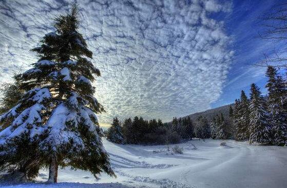 描写冬天的作文500字