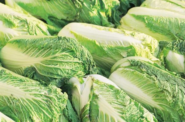 冬季怕冷吃什么好？7大蔬菜助你防寒保暖