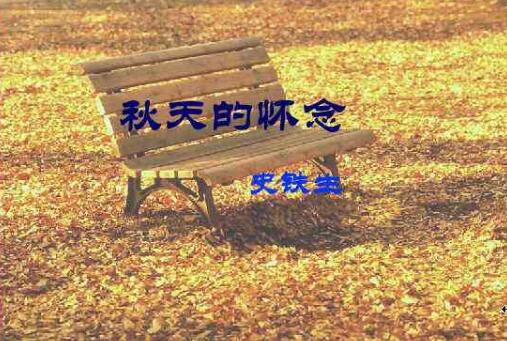 秋天的怀念读后感500字