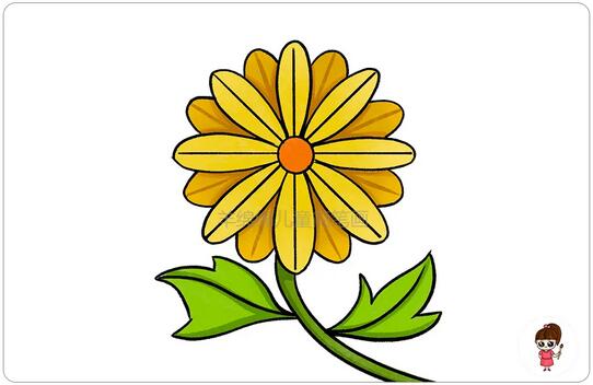 重阳节，学习画菊花简笔画