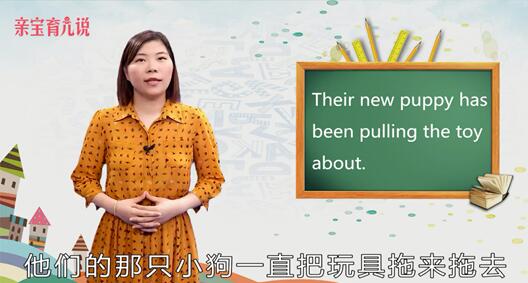 puppy是什么意思