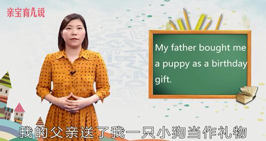 puppy是什么意思