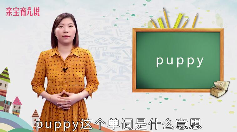 puppy是什么意思