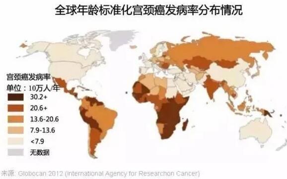 张文宏：如果家里有女孩，hpv疫苗尽量早点打