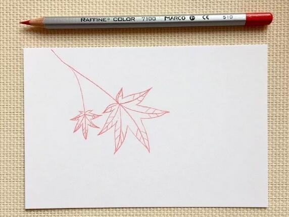 简笔画教程：片片枫叶情