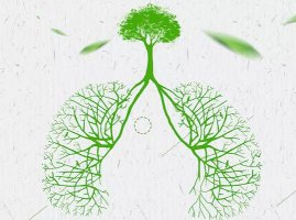 秋季养肺多食这五种水果，清热解毒、润肺止咳