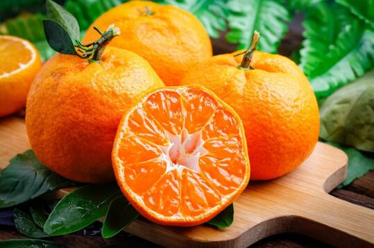 秋季养肺多食这五种水果，清热解毒、润肺止咳