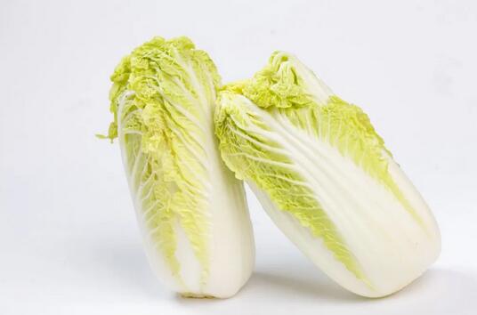 大白菜维生素 C 含量比柠檬高