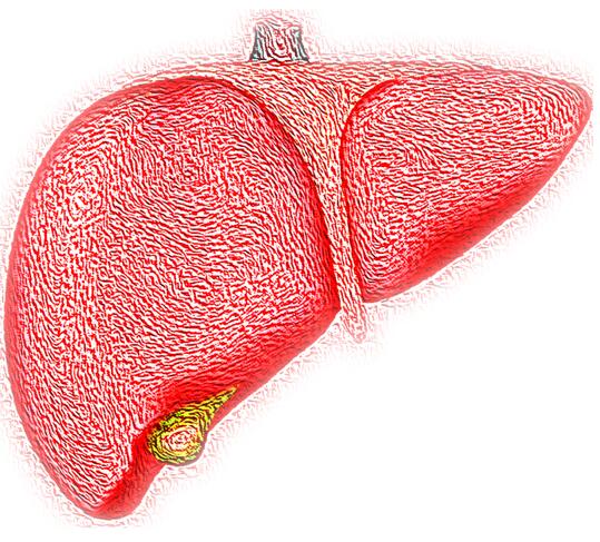 新生儿黄疸很常见，那需要医学干预吗？