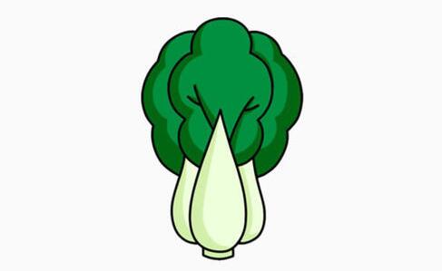 白菜的拼音