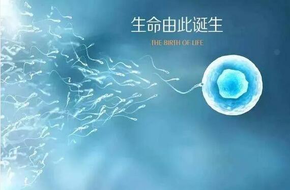 男性备孕注意事项