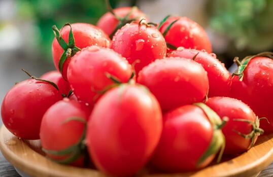 大番茄VS小番茄，哪个更营养更健康？