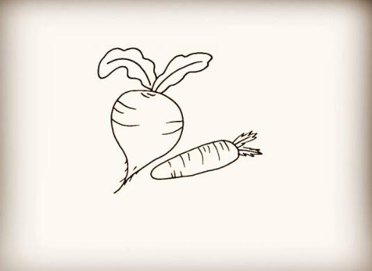 蔬菜萝卜简笔画教程图片