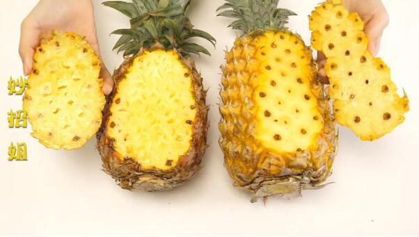 凤梨和菠萝的区别