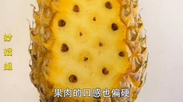 凤梨和菠萝的区别