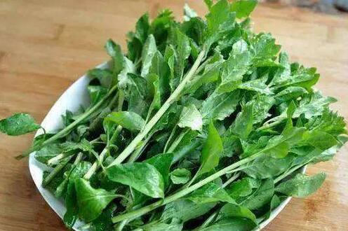 爱吃菜是好事，但这几种蔬菜，可别乱吃！