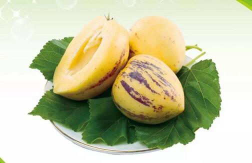 人参果是热性还是凉性