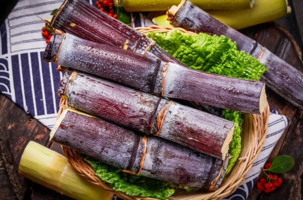 冬吃甘蔗赛人参，甘蔗的功效与作用