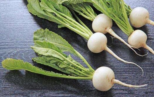 怀孕吃萝卜的好处