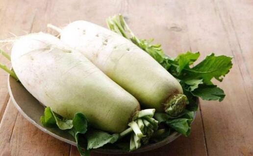 白萝卜不能和什么一起吃