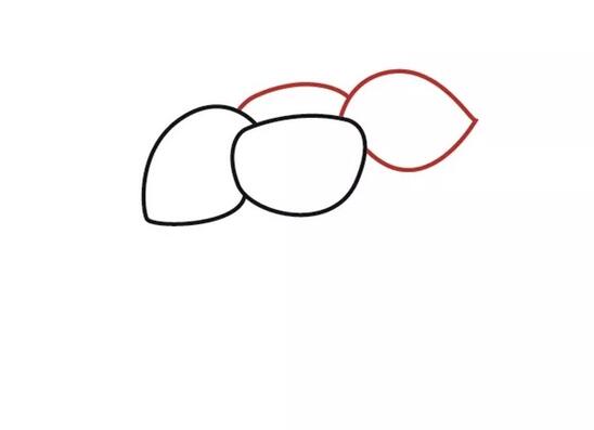 水果山竹简笔画教程图片