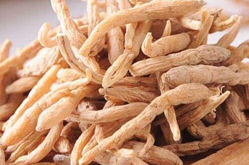 补气血的中药 太子参