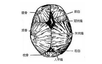 小儿囟门能不能碰，囟门早闭、晚闭有啥说法？
