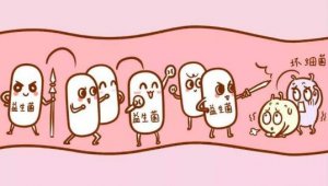 8个给宝宝吃益生菌的作用，别只知道抗生素