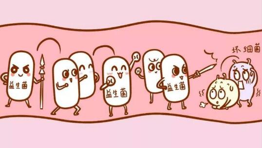 8个给宝宝吃益生菌的作用