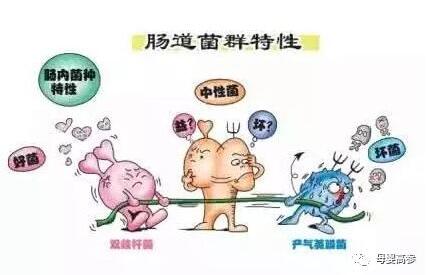 益生菌怎么吃？要吃多久才有效？