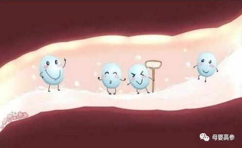 益生菌怎么吃？要吃多久才有效？