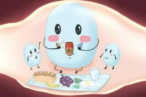 益生菌怎么吃？要吃多久才有效？