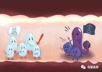 益生菌怎么吃？要吃多久才有效？