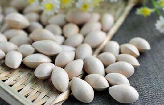 孕妇可以吃白果吗