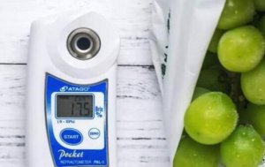 晴王葡萄为什么那么贵