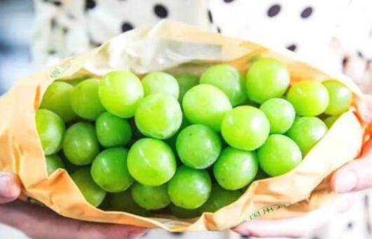 晴王葡萄为什么那么贵