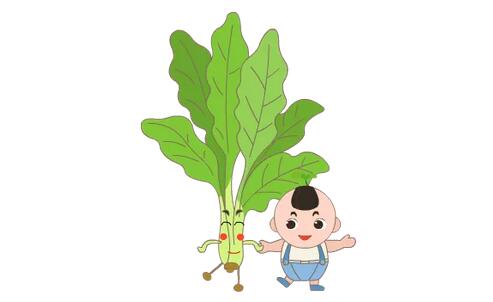 宝宝不爱吃青菜怎么办