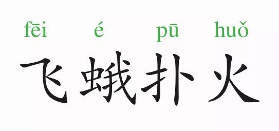 飞蛾扑火的意思和故事