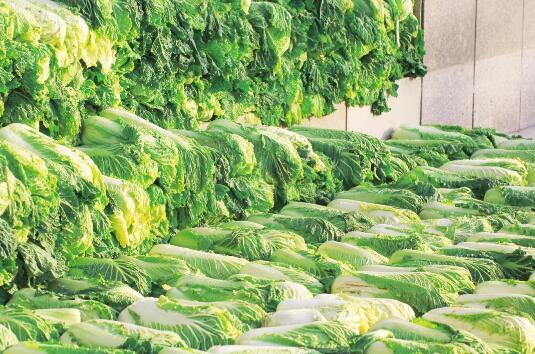 冬天吃这四种蔬菜更养生