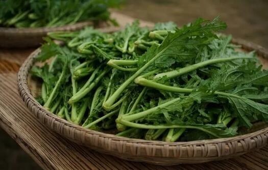 冬天吃这四种蔬菜更养生