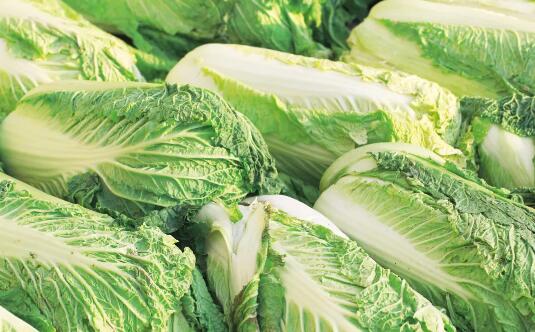 冬天吃这四种蔬菜更养生