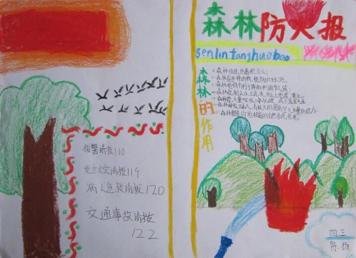 森林防火手抄报图片简单漂亮