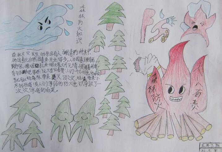 森林防火手抄报图片简单漂亮
